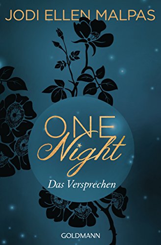 One Night - Das Versprechen: Erotischer Roman (Die One Night-Saga, Band 3)